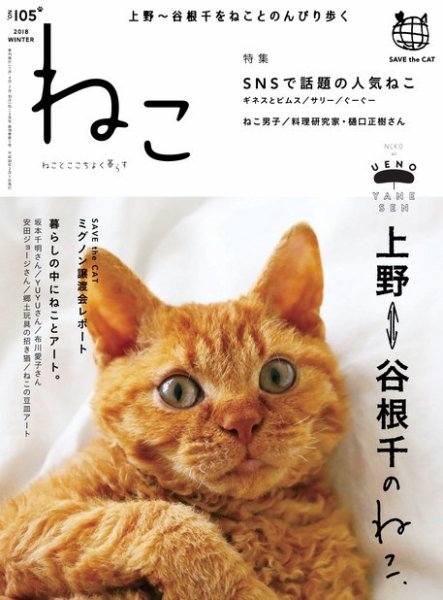 ねこ の雑誌広告掲載と広告料金